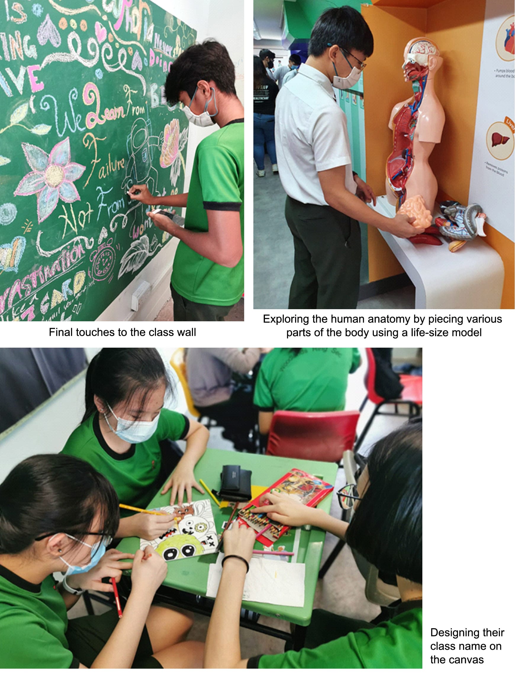 Three school activities: chalk art on a chalkboard, examining an anatomy model, and students drawing at desks.